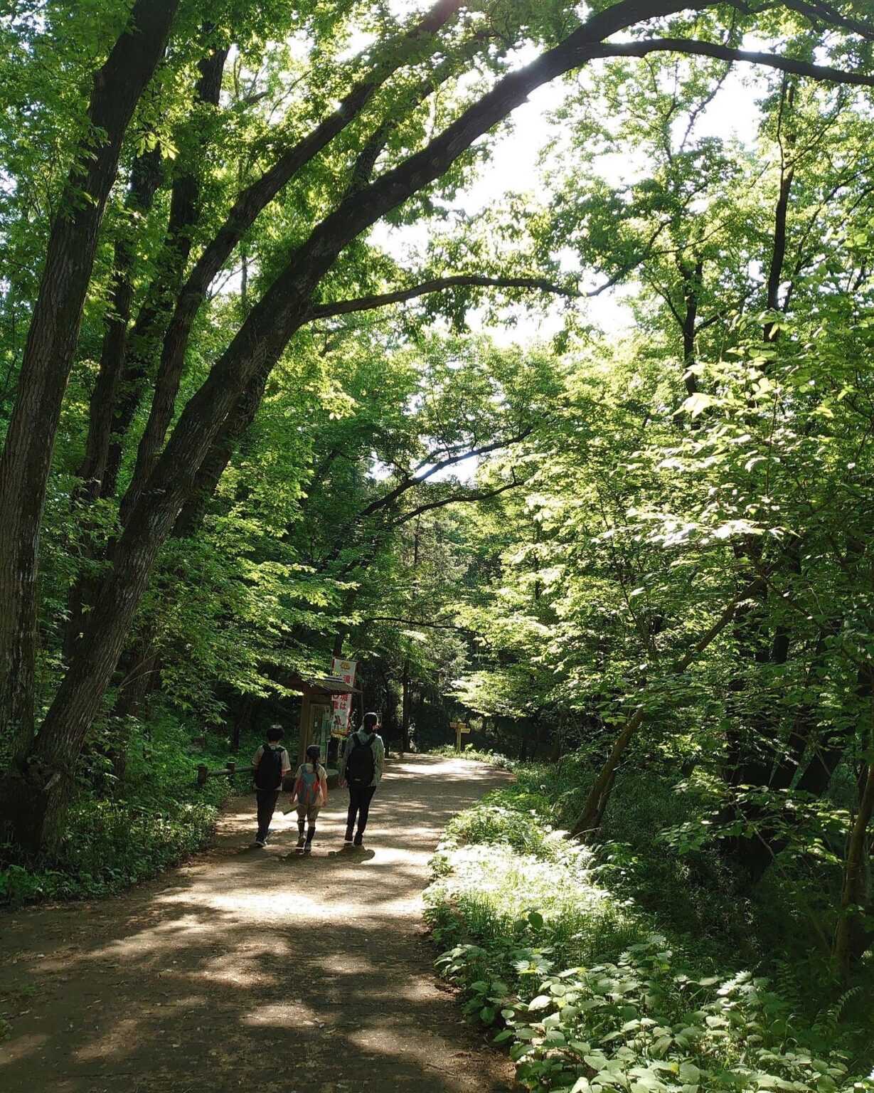 都立滝山公園・滝山城跡でお気軽ハイキング 株式会社ランドイースト